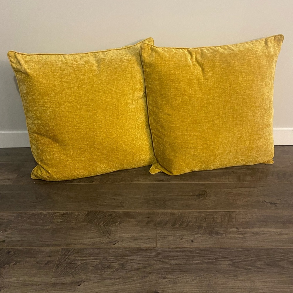 Urban Barn Clooney Cushions Throw pillows in Dijon 24” x 24” set of 2